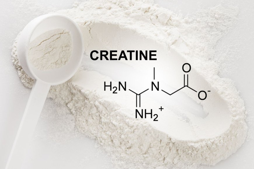 Creatine: The best supplement for muscle hypertrophy