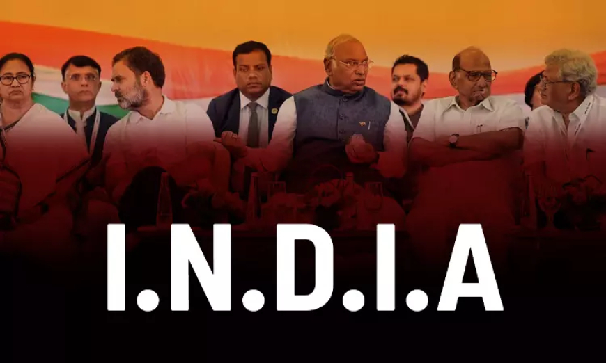 I.N.D.I.A.: A Big Tent Alliance in Indian Politics